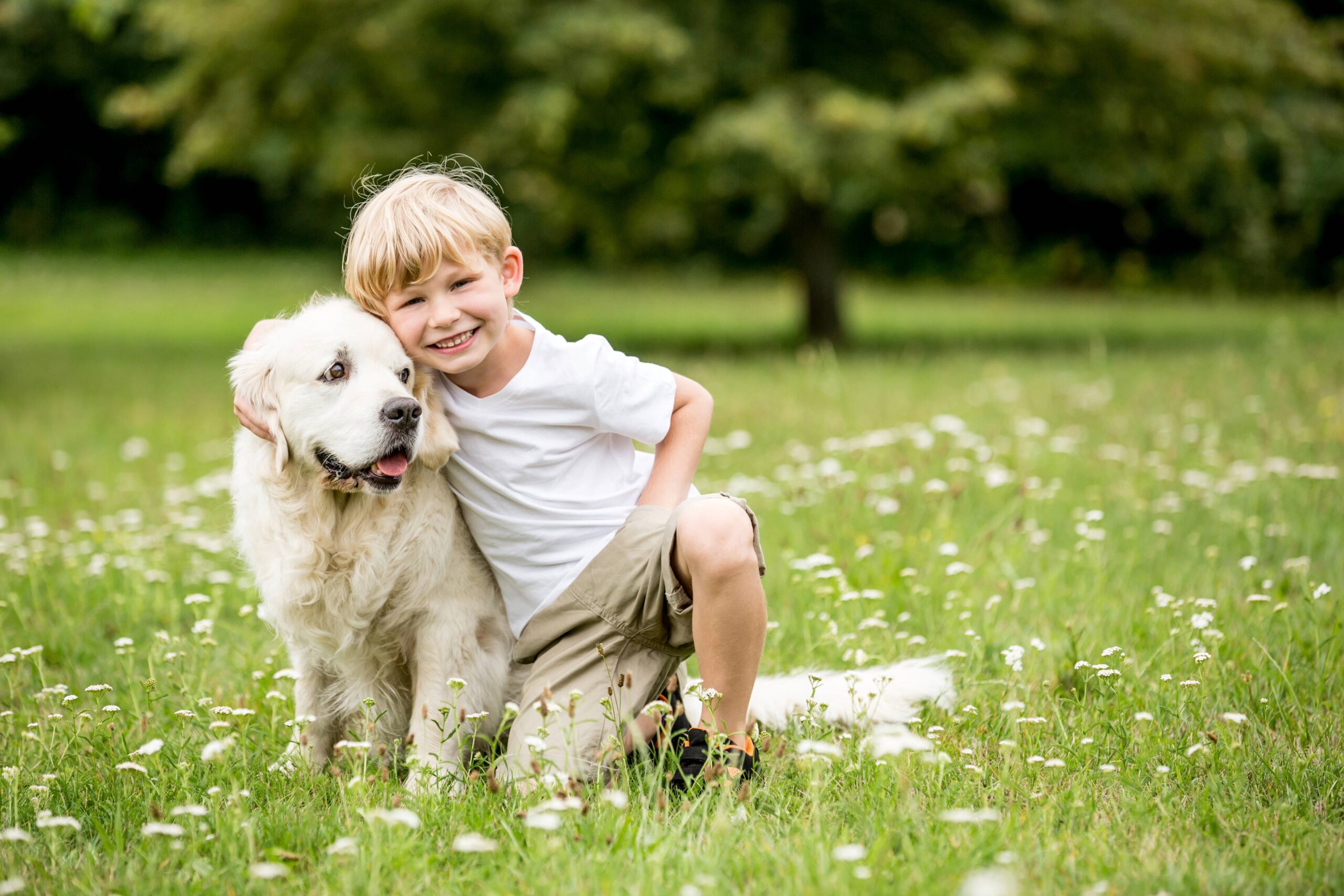 Glücklicher Junge zusammen mit Hund